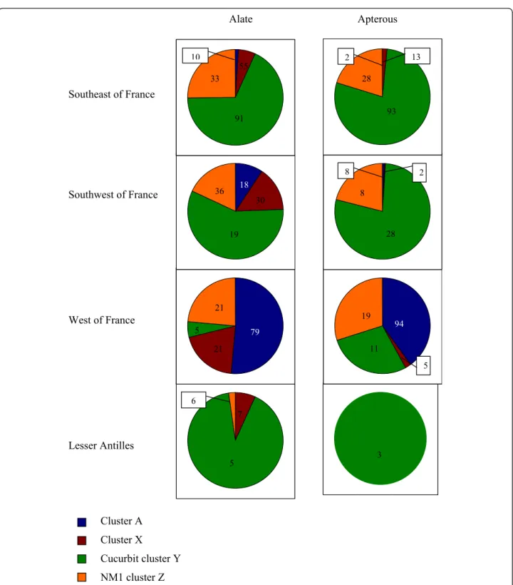 Figure 5 Distribution of the alate and apterous A. gossypii samples according to the genetic clusters