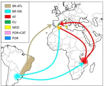 Figure 4. Prior and posterior distributions density curves for different estimators of Tetranychus evansi introduction events, calculated under scenario 7 (the most likely scenario of invasion); a) t1: the divergence time between eastern African (AF) and E