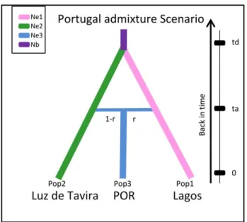 Figure 6. Prior and posterior distributions density curves calculated under an admixture scenario of Tetranychus evansi introduced populations in Portugal, with parameters: a) ta: the admixture time in the hybrid population (POR), b) td: the divergence tim