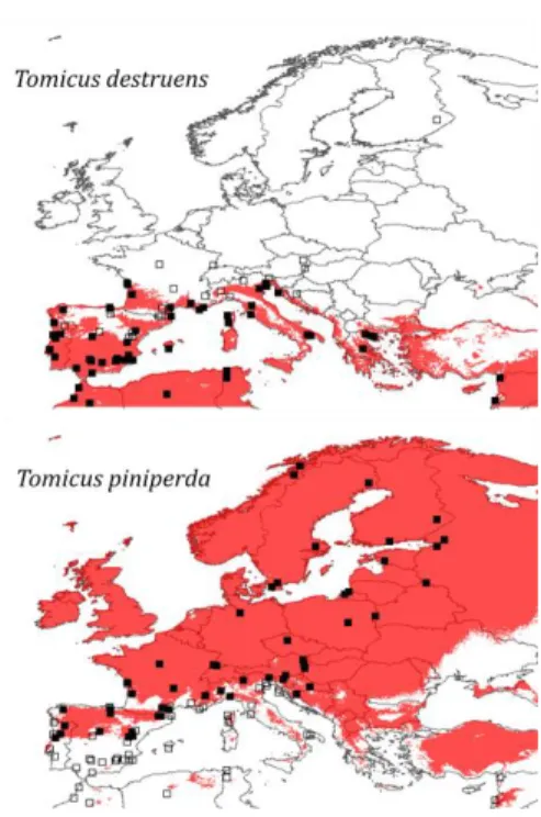 Figure 2. Aire de distribution potentielle de T. destruens et T. piniperda  estimée à partir des MLG