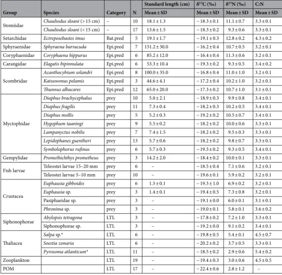 Table 2.   Number of samples, standard length, and isotopes values of the viperfish Chauliodus sloani and its  potential predators (Bat.pred–bathypelagic predator; Epi.pred–epipelagic predator), potential prey, and lower  trophic levels (LTL)