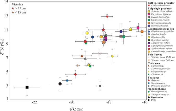 Figure 6.  Estimated contribution in % (numbers; mean ± SD) based on stable isotope mixing model of potential  prey to the diet of the viperfish Chauliodus sloani