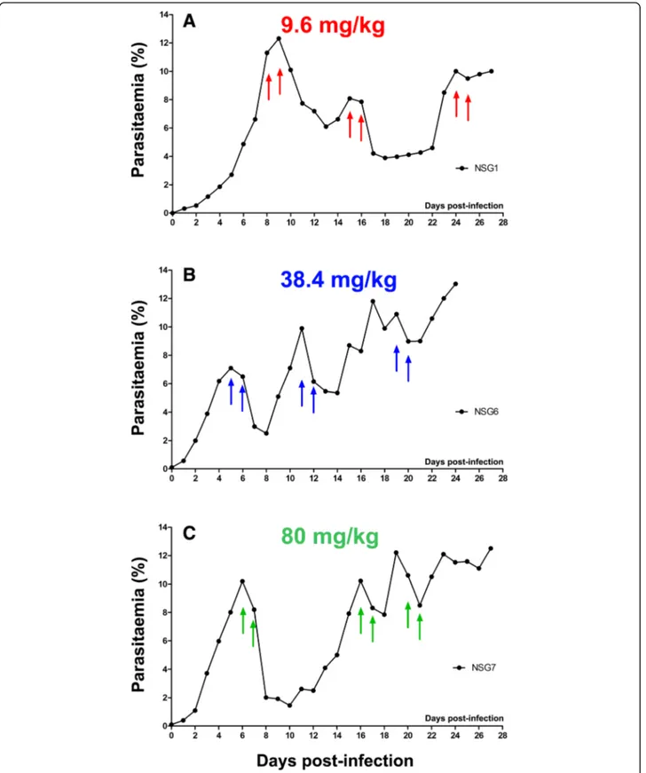 Fig. 3 Examples of selection for double-dose artemisinin resistance. Demonstrative parasitemia trends as seen at different time points during the resistance selection process are shown from mice that received a 2-day regimen comprising two doses 24 h apart