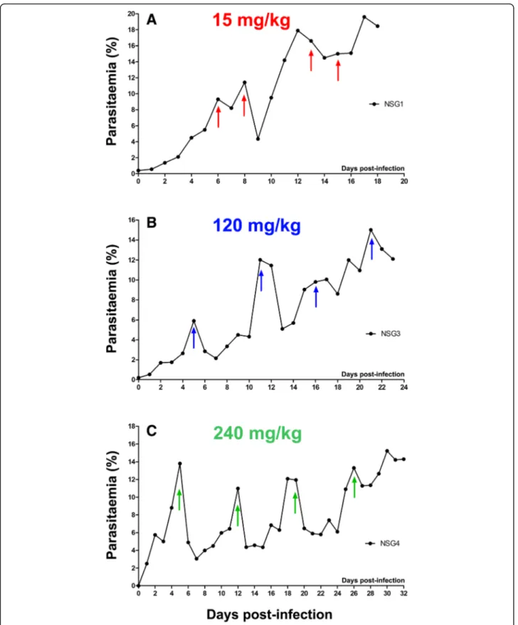 Fig. 2 Examples of selection for single-dose artemisinin resistance. Demonstrative parasitemia trends as seen at different time points during the resistance-selection process are shown from mice that received single flash doses of (a) 15 mg/kg, (b) 120 mg/