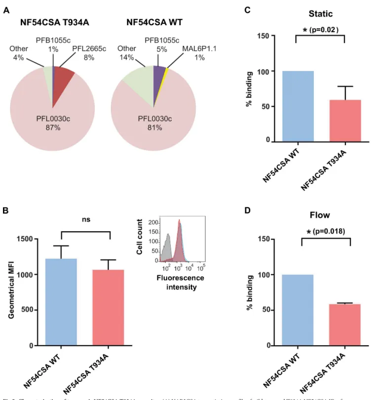 Fig 5. Characterisation of transgenic NF54CSA T934A parasites. (A) VAR2CSA transcription profile of wild-type and T934A NF54CSA IEs after reselection on VAR2CSA antibodies