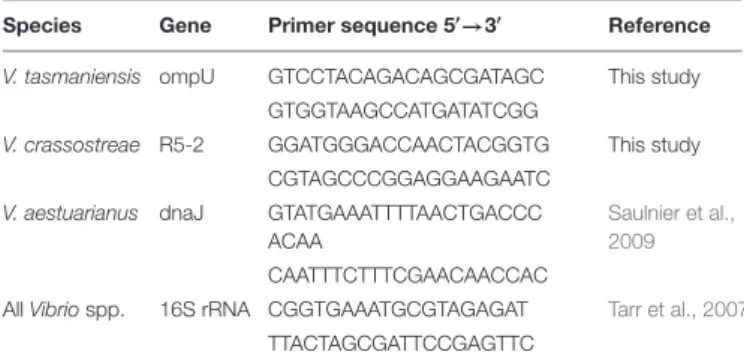 TABLE 1 | Primers sequence used for qPCR amplification.
