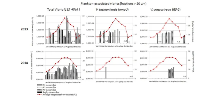 FIGURE 3 | Monthly abundance of plankton-associated vibrios in the water column. Histograms show apparent vibrio concentrations based on qPCR amplification (16S rRNA, ompU, and R5-2) of DNA extracted from the &gt;20 µm fraction of the water column