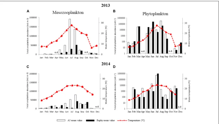 FIGURE 4 | Monthly abundance of total mesozooplankton and phytoplankton. (A,B) 2013 and (C,D) 2014 monthly values of plankton abundance outside (A5, white bars) and inside oyster farms (Rephy, black bars)