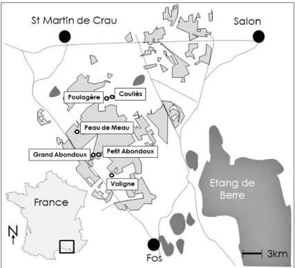Figure 1. Map of La Crau area in France with the six selected locations. Modified from Sylvain  Fadda, IMBE (In light grey, the area of steppe remnants )