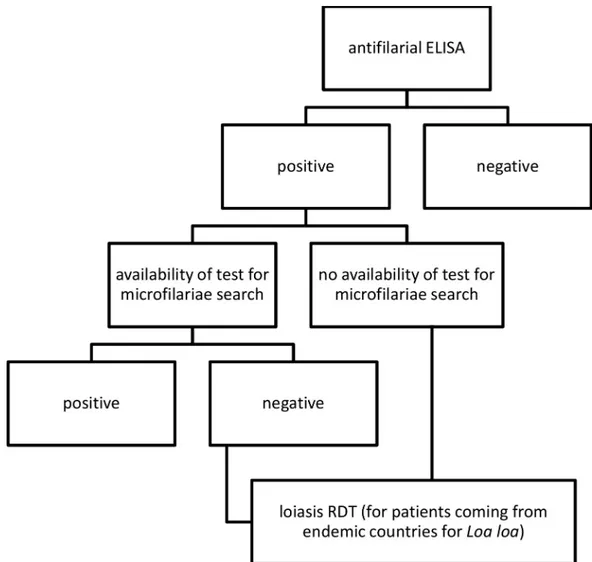 Fig 2. Proposed algorithm for diagnosis of filariasis in non-endemic countries.
