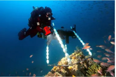 Figure 5 : Plongeur en recycleur (circuit fermé) réalisant des quadrats photographiques sur  un récif coralligène selon la méthode de Deter et al