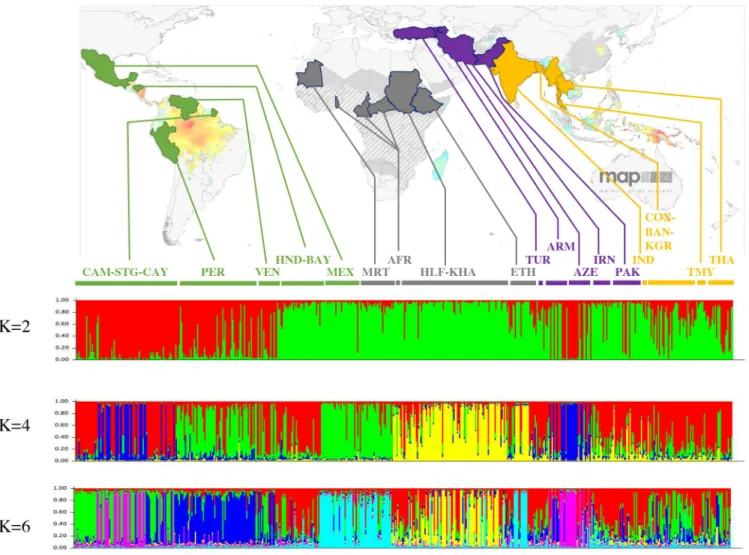 Fig 4. Bayesian cluster analysis on 575 P. vivax isolates collected around the world, using STRUCTURE software, for K = 2, K = 4 and K = 6