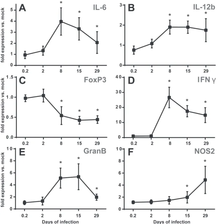 Fig 7. Oral infection with B . melitensis induces pro-inflammatory gene expression in the CLN