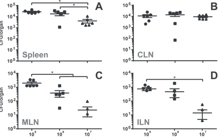 Fig 2. Infection with decreasing bacterial numbers by gavage results in increasingly specific bacterial colonization of the CLN