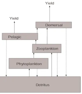 Figure 1 - Components and structure of the Southern Benguela ecosystem. Arrows represent the flux  between compartments (from Mullon et al., 2004).