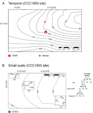 Fig. 2: Sampling area at coring site CCC1900 situated at the  convergence of Lacaze-Duthiers Canyon and Cap de Creus  Canyon (see Fig