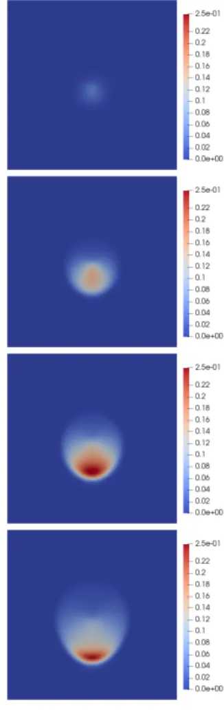 Fig. 6. Density of apices computed at t = 6, t = 12, t = 18 and t = 24 months (from the left to the right and from the top to the bottom).