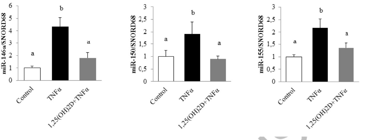 Figure  1.  1,25(OH) 2 D  limits  microRNA  expression  levels  in  human  adipocytes