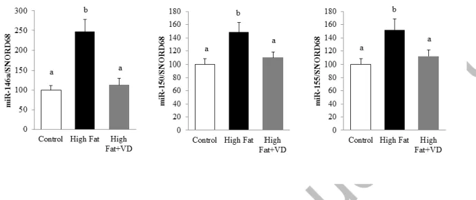Figure 3. Vitamin D limits miR-146a, miR-150, and miR-155 expression in mice epididymal adipose tissue