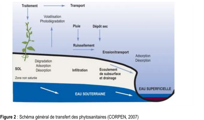 Figure 2 : Schéma général de transfert des phytosanitaires (CORPEN, 2007) 