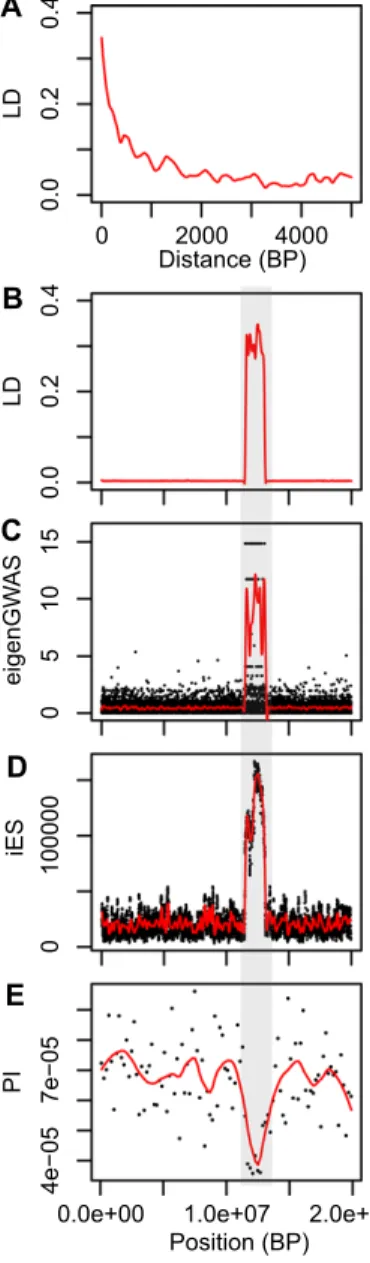 Figure 6. Genomic analysis of a simulated 20 Mb chromosome evolving in a single population, with a 1.6 Mb region of reduced recombination (indicated by a gray area), and random occurrence of neutral and deleterious mutations and absence of beneficial mutat
