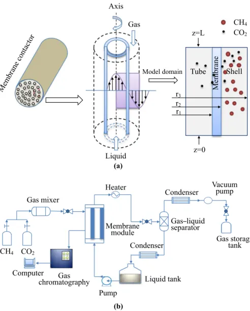 Fig. 3    a   CO 2  transport in a  membrane contactor. The main  driving force of the technology  is the gas concentration  differ-ence