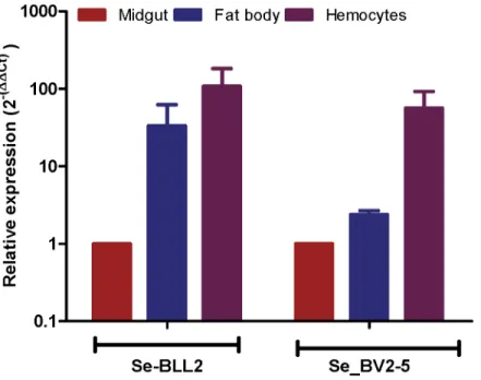 Fig 6. Expression of BLL2 and BV2-5 in main larval tissues of S. exigua. Values were normalized to the ATP synthase values and expressed relatively to the abundance in the midgut sample.