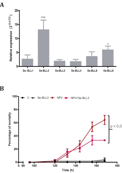 Fig 9. BLL expression and protection against baculovirus infection in S. exigua. A) Changes in the expression of the BLL genes after baculovirus infection in the midguts of third-instar larvae of S