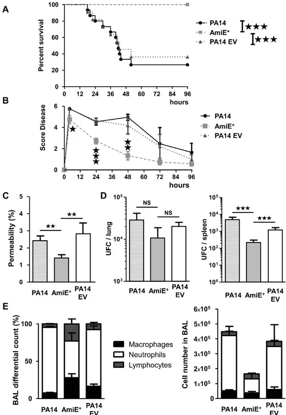 Figure 7.  Effects of P. aeruginosa AmiE +  strain on acute lung injury model. (A and B) Mice were infected  with intranasal instillation of 1.10 7  CFU of P