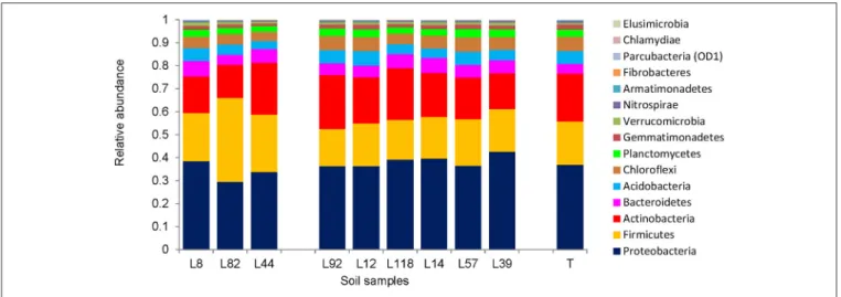 FIGURE 5 | Distribution of 15 major bacterial phyla in the rhizosphere (root-adhering soil fraction) of the 9 pearl millet inbred lines and the control unplanted soil (T).
