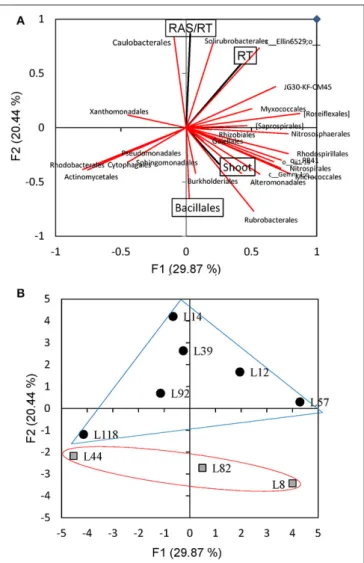 FIGURE 7 | Principal component analysis of RAS/RT, shoot dm, root dm, and abundances of the 26 main bacterial orders found in the rhizosphere of 9 pearl millet inbred lines