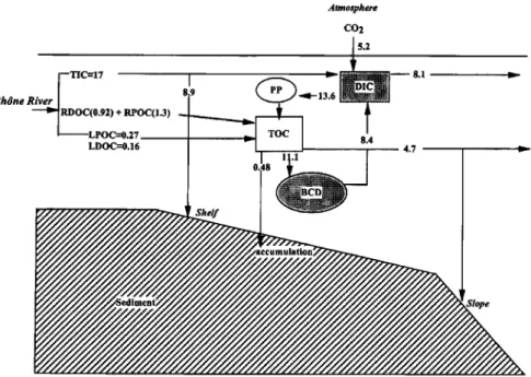 Figure  8.  Description of  the carbon cycle proposed  for  the continental  shelf in  the Gulf  of  Lions in  the  northwestern  Mediterranean  Sea