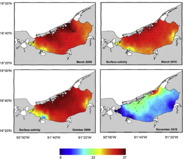 Fig. 3. Sediment organic matter content for the 13 stations sampled during the dry (March) and wet (October – November) seasons of years 2009 and 2010 (a: Organic carbon, b: Nitrogen, bars indicate sd for triplicates).