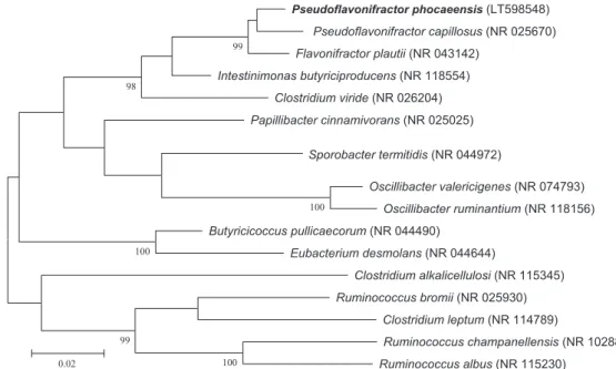 FIG. 1. Phylogenetic tree showing position of ‘Pseudoﬂavonifractor phocaeensis’ strain Marseille-P3064 T relative to other phylogenetically close neighbours