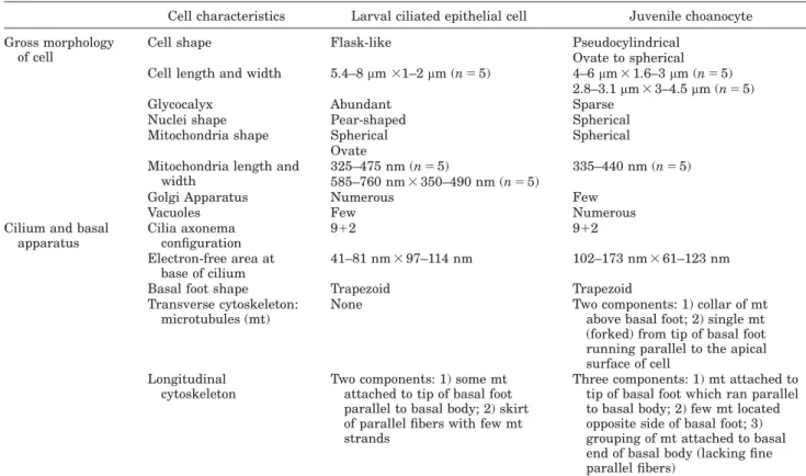 TABLE 1. Comparison of ciliated cells of larvae and juvenile of Haliclona indistincta: gross morphology of cell types, and ciliary basal apparatus