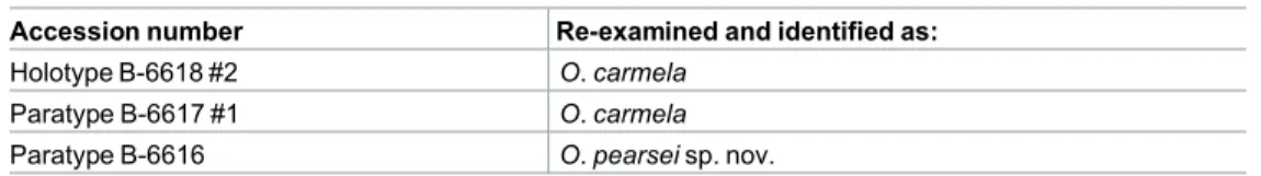Table 1. Original O. carmela holotype and paratypes submitted to MNRJ.