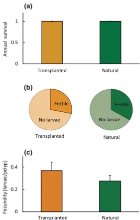 Figure 2 Demographic traits in transplanted and natural C. rubrum pop- pop-ulations. (a) Mean annual survival rates; (b) proportion of fertile colonies;