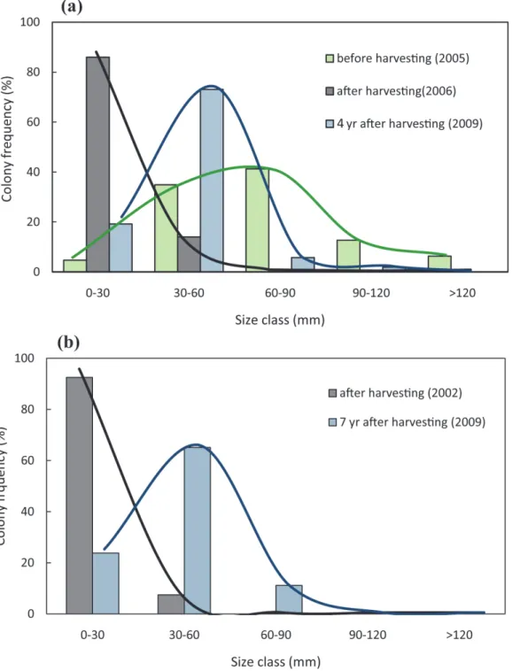 Fig 3. Size-distribution changes on harvested red coral populations. a) Size-distribution at Riou before harvesting, after harvesting, and four years after harvesting