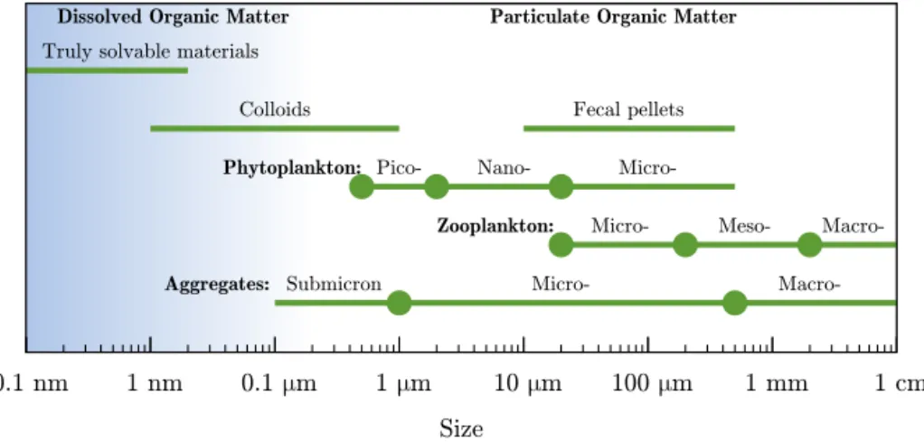 Figure 1. Size and classification of marine particles (adapted from Simon et al., 2002).
