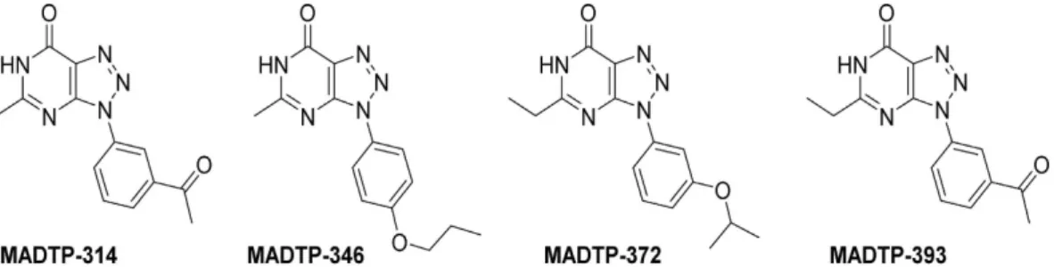 Table 1.   In vitro antiviral activity of analogs in the MADTP series against CHIKV and VEEV