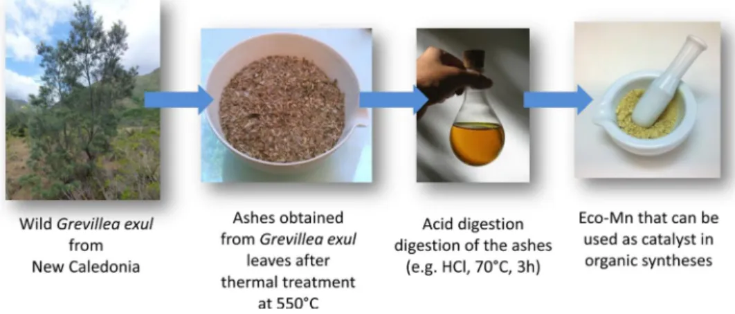 Fig. 9 Synthesis of a