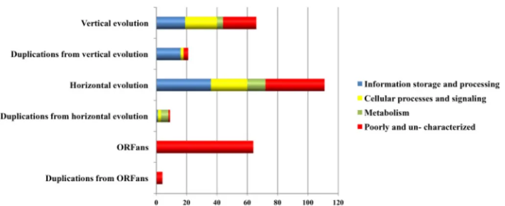 Fig 6. COG functional categories of Rickettsia plasmidome originated from vertical and horizontal evolutions as well as duplications.