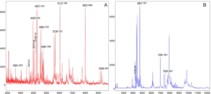 Fig 3. Location of discriminating peak masses shared between the spectra acquired from Rickettsia-infected specimens and the corresponding Rickettsia strain using Flex analysis software 3.3