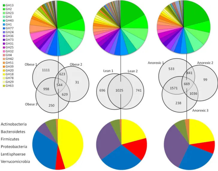Figure 2. Comparison of detected CAZyme genes between and within samples. The numbers of unique and shared CAZyme genes between samples are represented as a Venn diagram