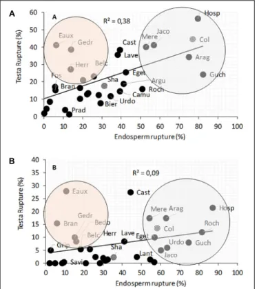 FIGURE 5 | Intraspecific morphology variation in Arabidopsis thaliana.