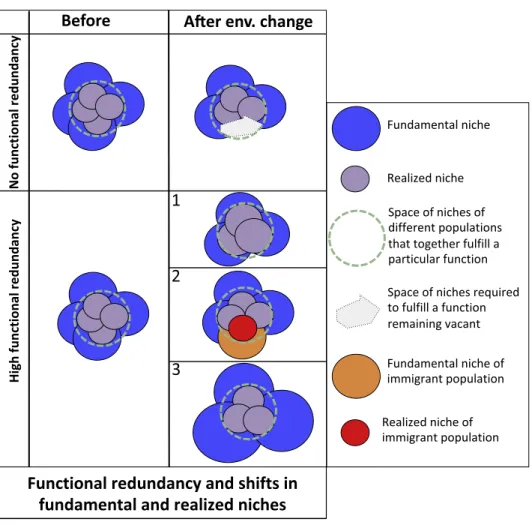 Figure 5. Example 5 of Specific Relevant Points/Outcomes That Can Be Derived from the Application of Theoretical Ecology to Marine Ecosystems: Influence of Fundamental and Realized Niche Changes on Functional Redundancy and Ecosystem Response to Environmen