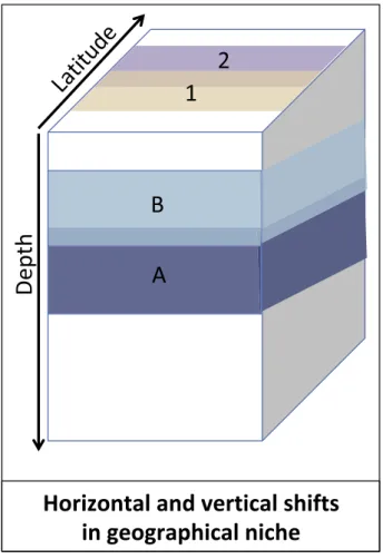 Figure 1. Example 1 of Specific Relevant Points/Outcomes That Can Be Derived from the Application of Theoretical Ecology to Marine Ecosystems: Horizontal and Vertical Shifts in Geographical Niches.