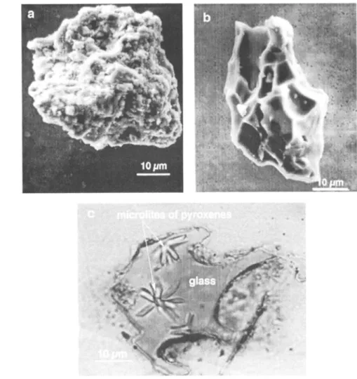 Figure 3.  Microscope  observations:  (a) scanning  electron  microscope  picture  of  !ithic material  composed  of cryptocrysta!!ine  glass;  (b) scanning  electron  microscope  picture  of glassy  shard  with a  blocky  morphology  typical  of phreatoma