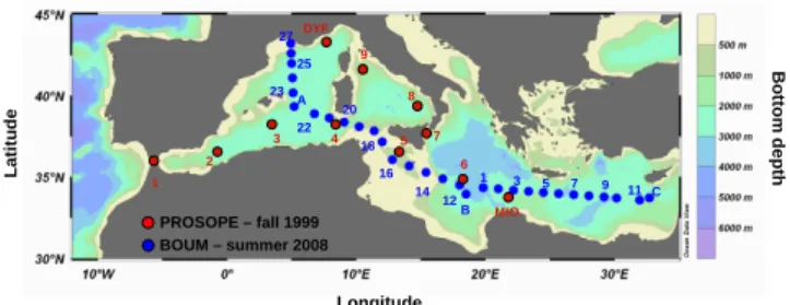 Fig. 1. Cruise tracks and sampling sites during the PROSOPE cruise in late summer/fall 1999 (red dots) and during the BOUM cruises in summer 2008 (blue dots).