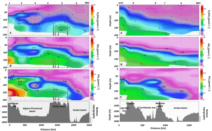Fig. 2. Nutrient distributions (µM) along the transect 1 during PROSOPE the cruise (summer/fall 1999).